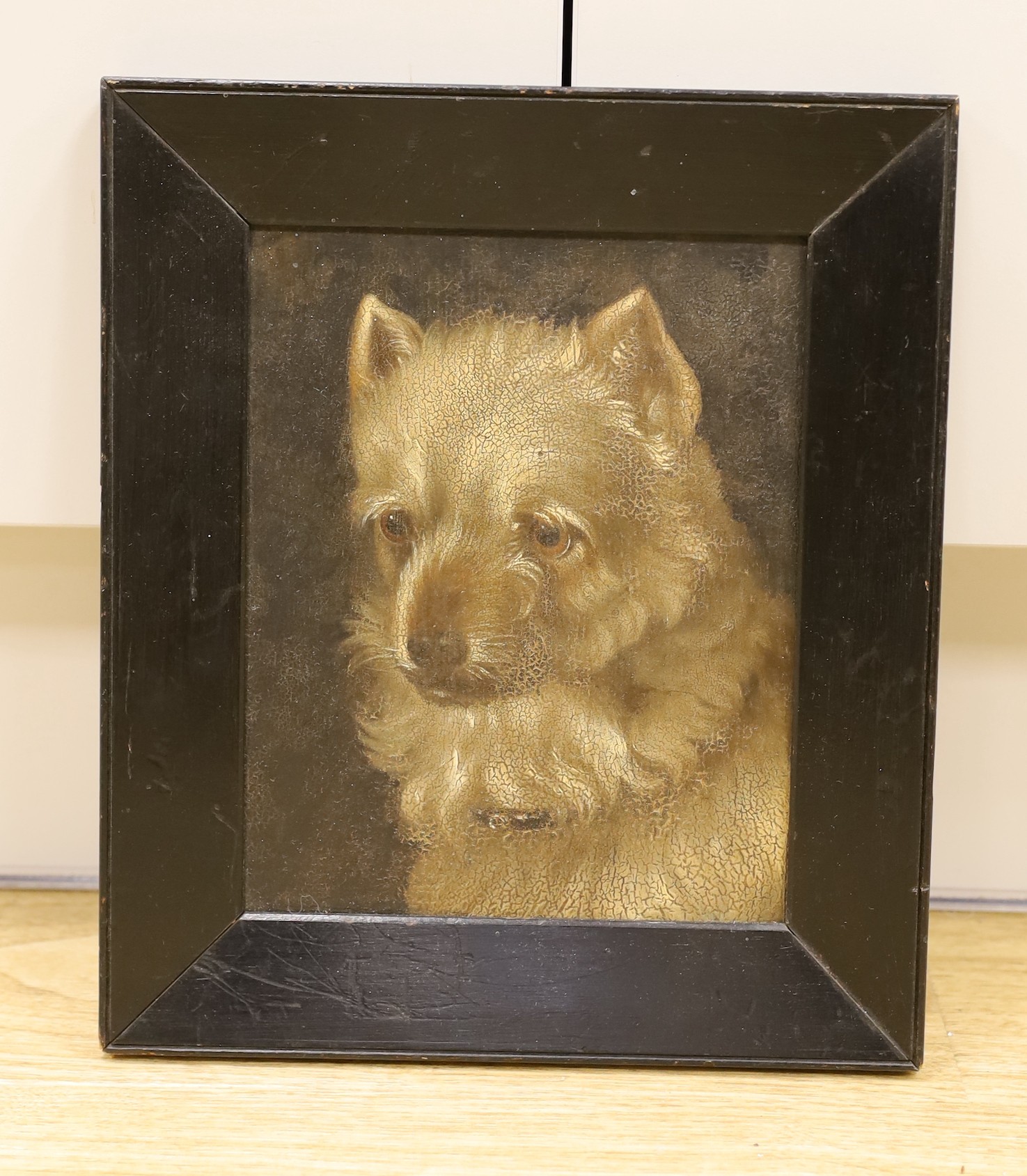 19th century English School, oil on wooden panel, Study of a white terrier, 21 x 17cm